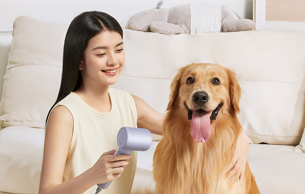 Coshare/HD20E-Violet/10