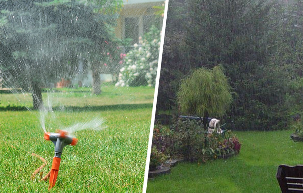 Deux zones du jardin arrosées par RainPoint.