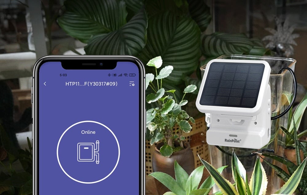 Passerelle RainPoint connectée à un module solaire