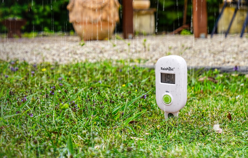 Un capteur RainPoint debout sur l'herbe sous la pluie, avec des gouttes d'eau sur le boîtier.
